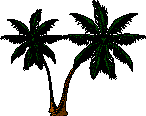 2palmtrs.wmf (97938 bytes)